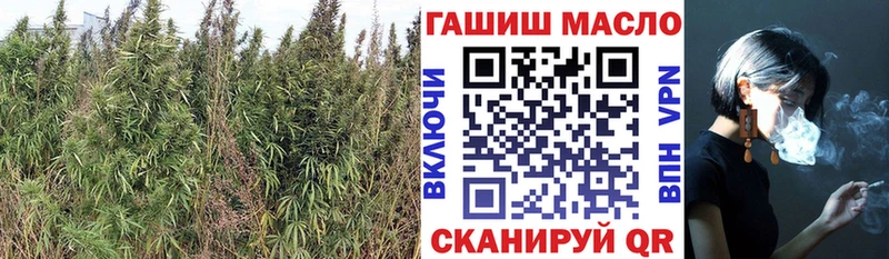 Дистиллят ТГК жижа Купить где Нижние Серги